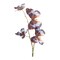 Melrose Artificial Butterfly Sprays - 32" - Brown and Blue - Set of 6
